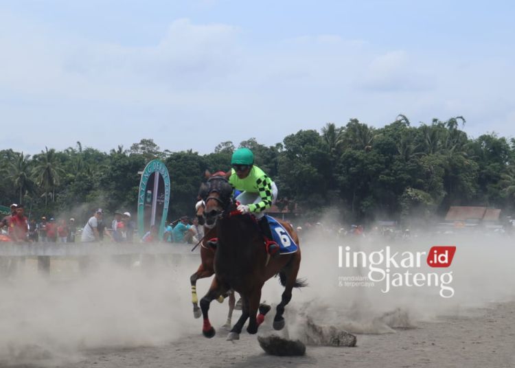 Pacuan Kuda Jateng Derby 2024 Di Tegalwaton Semarang Makin Diminati