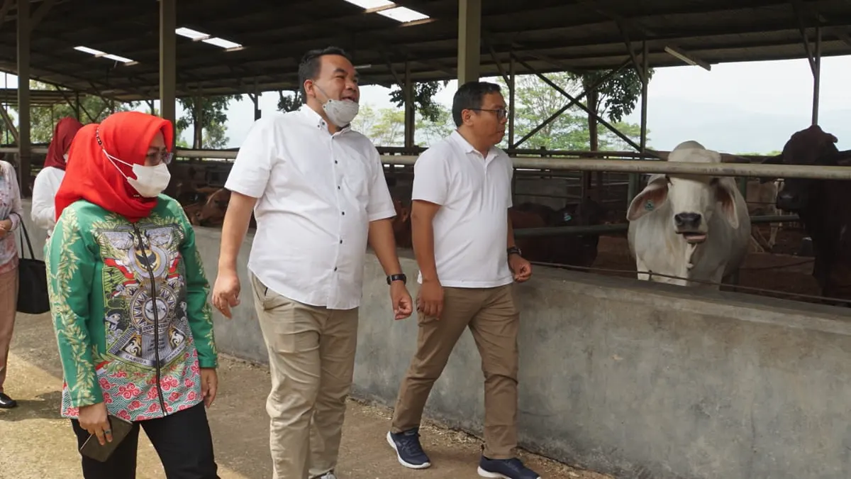 KUNJUNGAN: Bupati Blora bersama tim belajar peternakan sapi di Cianjur.
Wujudkan Mimpi Jadi Sentra Peternakan Sapi