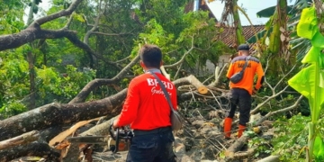 EVAKUASI: Petugas BPBD Grobogan sedang mengevakuasi kerusakan akibat puting beliung di wilayah kabupaten setempat, Selasa (26/10/21). (MUHAMAD ANSORI/LINGKARJATENG.ID)