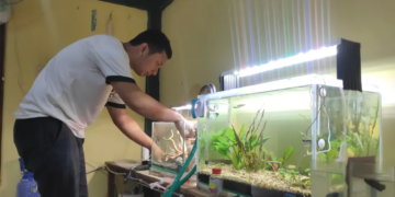 PERIKSA: Syahroni penggiat aquascape Kabupaten Rembang ketika menunjukan galeri
hasil kreasinya di rumahnya kemarin