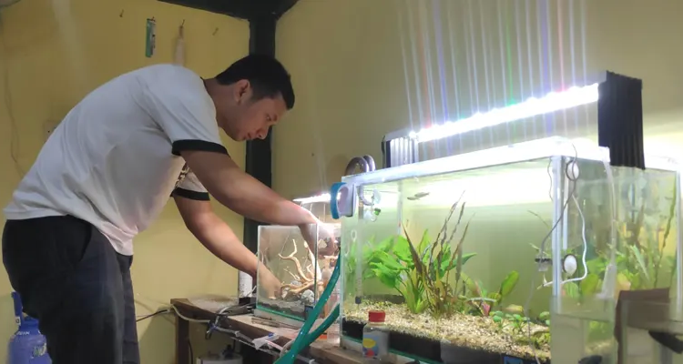 PERIKSA: Syahroni penggiat aquascape Kabupaten Rembang ketika menunjukan galeri
hasil kreasinya di rumahnya kemarin