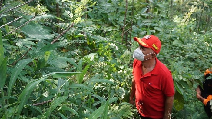 Bupati Jepara Pastikan Alat Deteksi Bencana Berfungsi 25 KONTROL: Bupati Jepara Dian Kristiandi saat mengecek alat deteksi dini pergerakan tanah di Desa Tempur, Kecamatan Keling, Kabupaten Jepara, kemarin. (Adhik Kurniawan / Lingkarjateng.id)