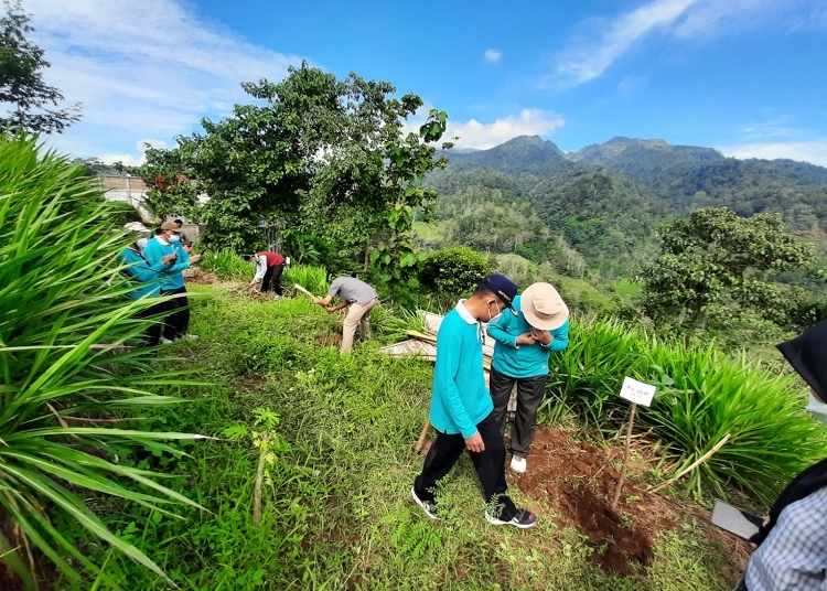 Perhutani sedang melakukan penanaman pohon. (Istimewa / Lingkarjateng.id)