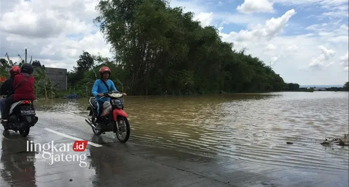 15 Hari Banjir Belum Surut, Para Petani Pati Terancam Merugi