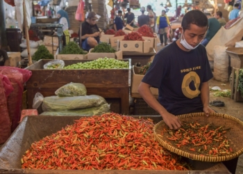 Pedagang memilah cabai rawit merah di Pasar Induk Kramat Jati, Jakarta, Rabu (22/12/2021). Harga cabai rawit merah di pasar tersebut mengalami kenaikan  dari Rp80.000-an per kilogram menjadi sekitar Rp100.000 per kilogram karena dipicu pasokan yang menurun akibat cuaca buruk di sejumlah daerah penghasil. ANTARA FOTO/Galih Pradipta/rwa.