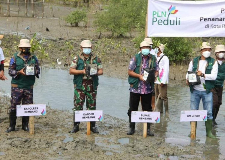SIMBOLIS: Asisten Administrasi Sekda Rembang Waluyo mewakili Bupati Rembang Abdul Hafidz bersama General Manager PT PLN (Persero) UIT JBT Sumaryadi dan Dandim 0720 Rembang Letkol Kav Donan Wahyu Sejati menanam mangrove di Desa Pasar Banggi, Kecamatan Rembang, Rabu (1/2). (R. Teguh Wibowo / Lingkarjateng.id)