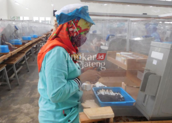 NISA HAFIZHOTUS SYARIFA / LINGKAR JATENG
ILUSTRASI: Buruh sedang bekerja di pabrik rokok.