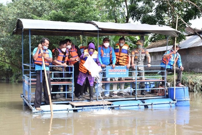 PEMBENIHAN: Bupati Sukoharjo menebar 20.000 benih ikan ke Sungai Baki di Desa Menuran, Kecamatan Baki, Jumat (24/12). (Istimewa/Lingkarjateng.id)