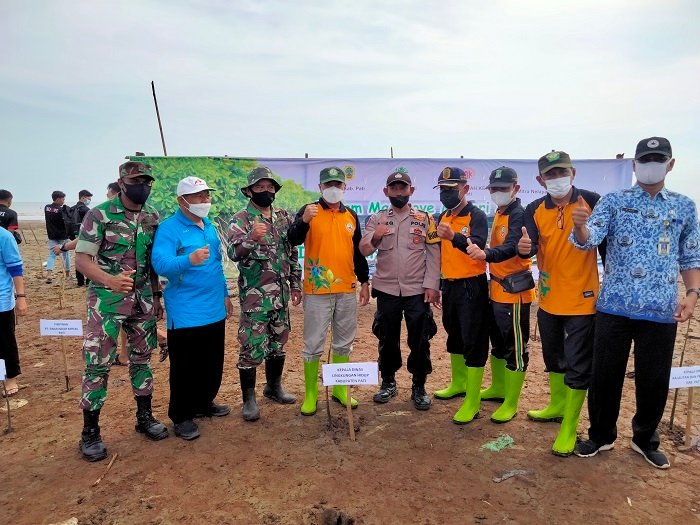 Peringati HTN 2021, DLH Pati Tanam 5.000 Mangrove 25 HARI TANAM NASIONAL: DLH Pati bersama sejumlah instansi menanam mangrove di Pantai Tunjungrejo, Margoyoso, Jumat (17/12) lalu. (Istimewa/Lingkarjateng.id)