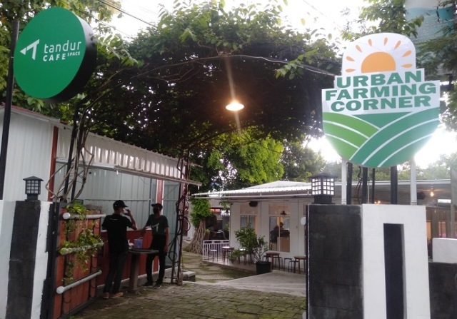 KAFE: Tempat Cafe Tandur Space dengan konsep urban farming untuk tempat nongkrong sekaligus edukasi pertanian. (Adimungkas/Lingkarjateng.id)
