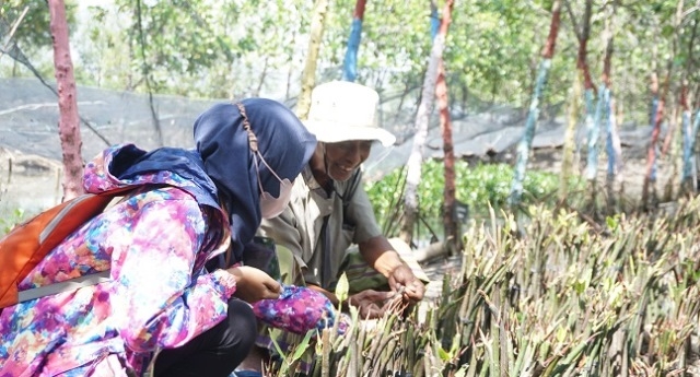 PELESTARIAN MANGROVE: Sururi (topi putih) menjelaskan jenis-jenis bibit, cara pembibitan dan pengembangan mangrove untuk banteng pesisir di wilayah Semarang. (Adhik Kurniawan/Lingkarjateng.id)