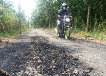 RUSAK: Baru dua bulan selesai dikerjakan, jalan aspal di wilayah RT 6 RW 3 Dusun Tegalsari, Desa Kedungsari, Kecamatan Ringinarum rusak. (Unggul Priambodo/Lingkarjateng.id)