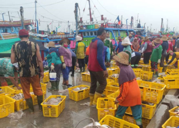 NELAYAN: Aktivitas bongkar ikan para nelayan di TPI Tasik Agung, Rembang, baru-baru ini. (R. Teguh Wibowo/Lingkarjateng.id)