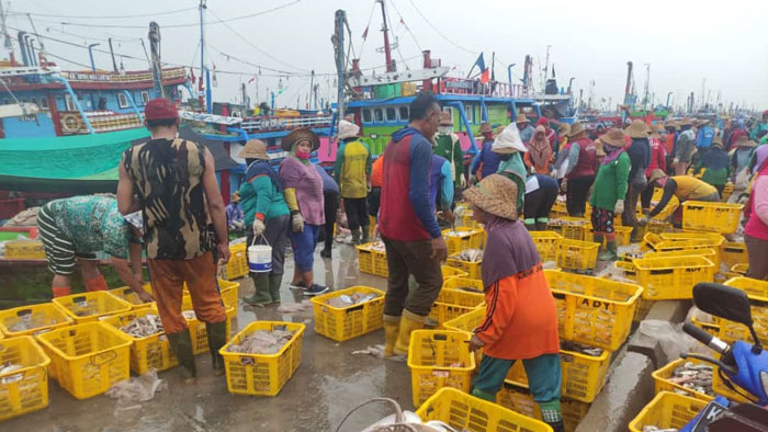 NELAYAN: Aktivitas bongkar ikan para nelayan di TPI Tasik Agung, Rembang, baru-baru ini. (R. Teguh Wibowo/Lingkarjateng.id)