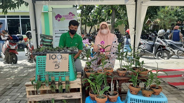 BISNIS TANAMAN: Pasangan suami istri Yan Arie Wibowo dan Enny Latifah berjualan di Pasar Tani Rembang setiap hari Jumat. (R. Teguh Wibowo/Lingkarjateng.id)