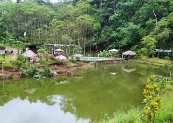 MENYEJUKKAN: Pemandangan Telaga harun di dukuh Segoro Lebu Desa Somosari, Kecamatan Batealit, Kabupaten Jepara. (Muslichul Basid/Lingkarjateng.id)
