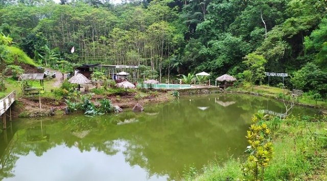 MENYEJUKKAN: Pemandangan Telaga harun di dukuh Segoro Lebu Desa Somosari, Kecamatan Batealit, Kabupaten Jepara. (Muslichul Basid/Lingkarjateng.id)
