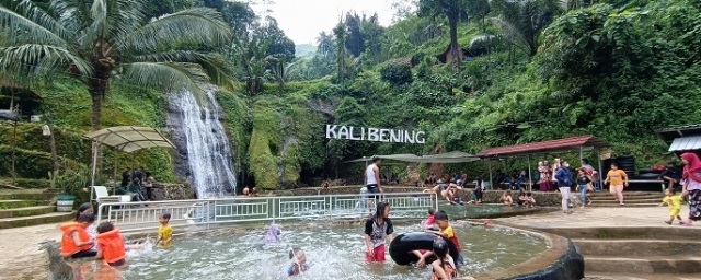 Bekas Persawahan, Kali Bening Jepara Jadi Wisata 25 CERIA: Anak-anak berenang di kolam renang wisata Kali Bening, Jepara. (Muslichul Basid/Lingkarjateng.id)