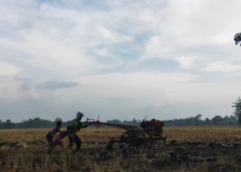 ILUSTRASI: Seorang petani sedang menggarap sawah. (M. Elang Ade Iswara/Lingkarjateng.id)