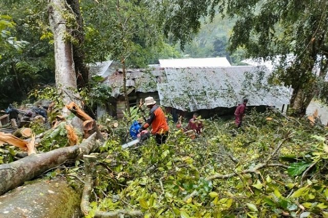 EVAKUASI: Relawan BPBD Kudus sedang melakukan evakuasi terhadap pohon tumbang di kawasan wisata Rejenu, Rabu (19/1). (Istimewa/Lingkarjateng.id)