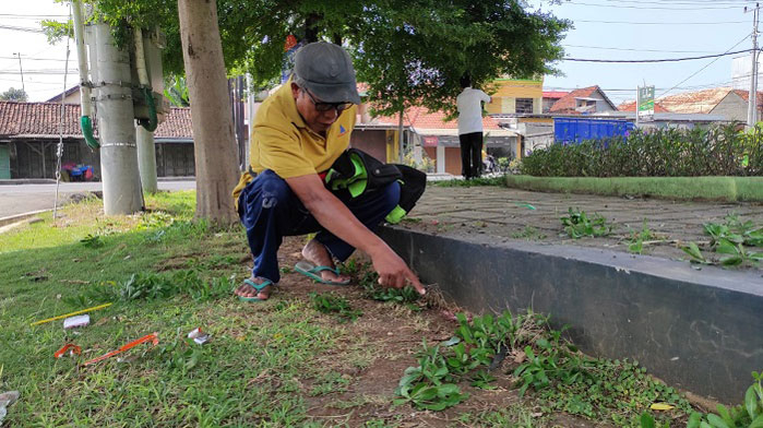 TKP: Saksi saat menunjukkan tempat kejadian perkara pembacokan hingga tangan putus di Kudus, kemarin. (Alifia Elsa Maulida/Lingkarjateng.id)