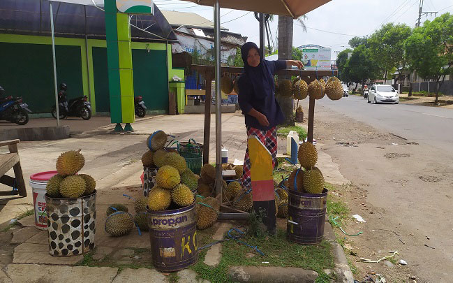 RAJA BUAH: Pedagang durian sedang menjajakan durian di sepanjang jalan Desa Ngabul, Kecamatan Tahunan, Jepara, kemarin. (Muslichul Basid/Lingkarjateng.id)