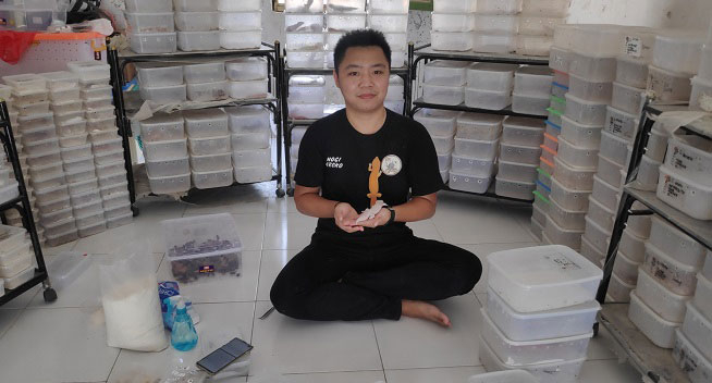 Cara Merawat Reptil Gecko bagi Pemula 25 KOLEKTOR: Ivan Kurniawan Breeder Gecko Profesional Rembang memperlihatkan koleksi gecko miliknya di Desa Sumberjo, Rembang, kemarin. (R. Teguh Wibowo/Lingkarjateng.id)