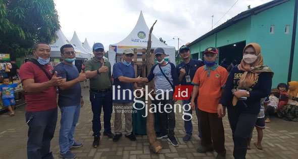 BANGGA: Subiyanto (sebelah kanan singkong raksasa mengenakan kaos abu-abu biru) menunjukkan singkong raksasa yang ia menangkan saat lelang di Pasar Tani Dintanpan, Kabupaten Rembang. (R. Teguh Wibowo/Lingkarjateng.id)