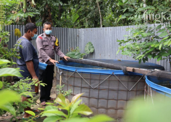 BUDI DAYA: Bripka Joko Santosa saat menunjukkan peternakan lele di belakang rumah di Tunjungrejo, Kamis (10/2)