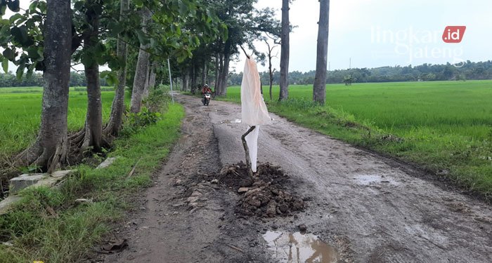 Jalan Penghubung di Desa Jepangrejo Blora Dianggarkan Rp 2,5 Miliar 25 RUSAK: Jalan penghubung antardesa di Desa Jepangrejo, Kabupaten Blora mengalami rusak parah.