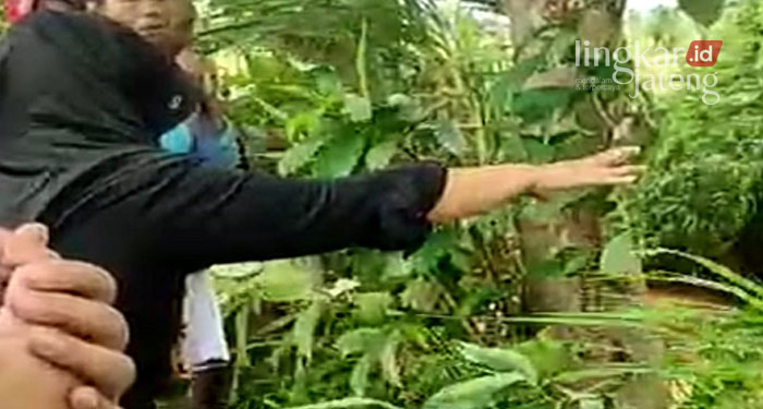Warga Gelar Ritual Pemanggilan Jenazah Korban Hilang di Sungai Terok Pati 25 RITUAL: Seorang perempuan melakukan ritual pemanggilan jenazah korban yang hanyut di Sungai Terok, Desa Bulungan, Tayu, hari ini (08/02).