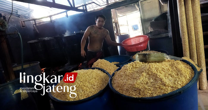 harga kedelai