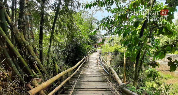 Warga Dusun Gusten Blora Butuh Jembatan Layak 25 POTRET: Jembatan bambu di Dusun Gusten, Kelurahan Jepangrejo, Kecamatan Blora.