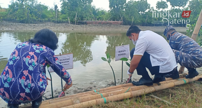 MENANAM: Bupati Kendal, Dico Ganinduto menanam bibit mangrove di pesisir pantai Desa Wonosari, Kecamatan Patebon. (Unggul Priambodo/Lingkarjateng.id)