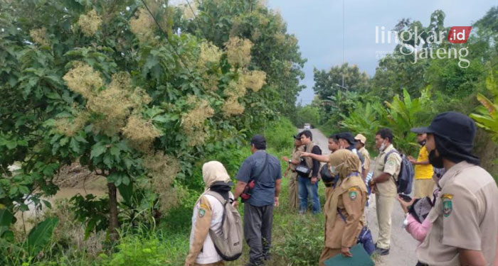 MENINJAU: DPUPR Blora meninjau lokasi titik longsor. (Istimewa/Lingkarjateng.id)