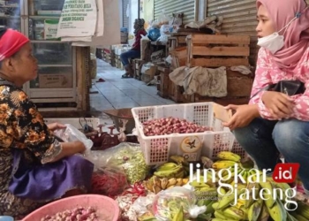 Harga Bahan Pangan di Pati Naik