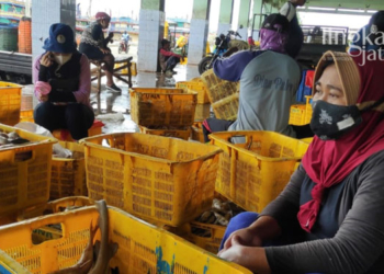 Harga Ikan di Rembang Naik