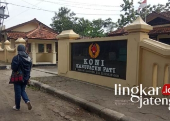 KONI Pati