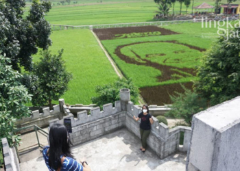 MEMOTRET: Pengunjung berfoto dengan background hasil sawah yang berbentuk wajah Gubernur Jawa Tengah, Ganjar Pranowo. (Adhik Kurniawan/Lingkarjateng.id)