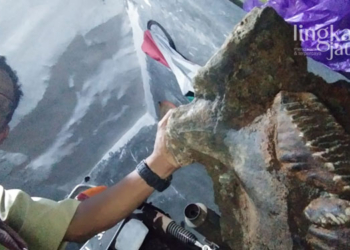 MENEMUKAN: Rohmad menemukan fosil gerigi di Kali Gribik Kelurahan Sadeng, Kecamatan Gunung Pati Semarang. (Adimungkas/Lingkarjateng.id)