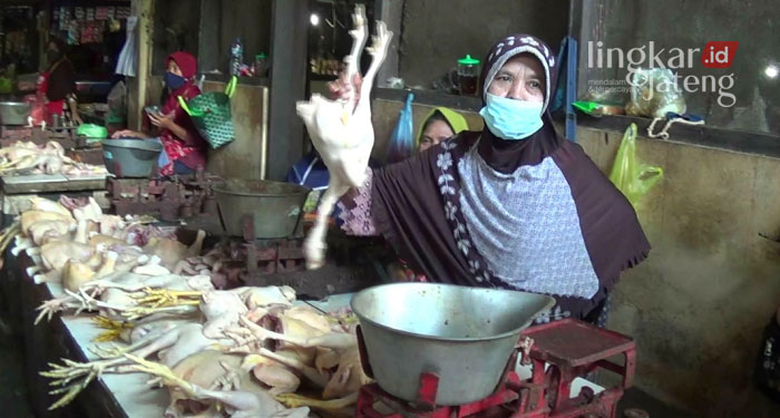 MENJUAL: Salah satu penjual daging ayam di Kabupaten Kendal menunjukkan dagangannya.