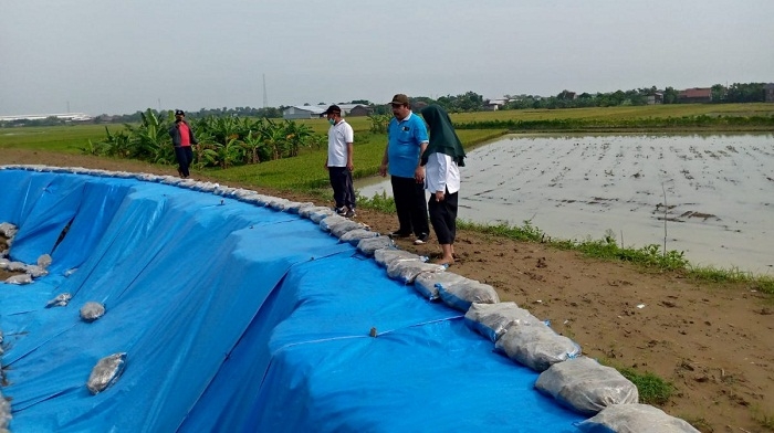 Kades Karangrejo Demak Minta Dinas Tanggap Bencana 25 Tanggul Longsor di Demak