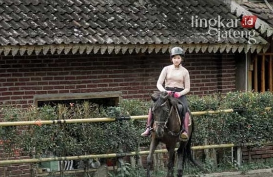 Wisata Kendal, Menikmati Berkuda di Santosa Stable 25 Wisata Kendal, Menikmati Berkuda di Santosa Stable