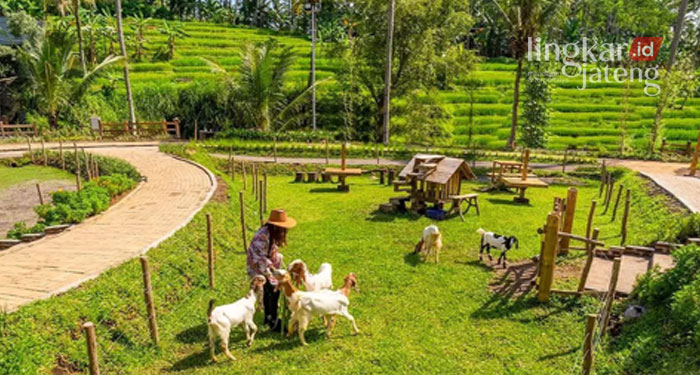 Wisata Semarang Cimory on The Valley Suguhkan Miniatur Dunia 1
