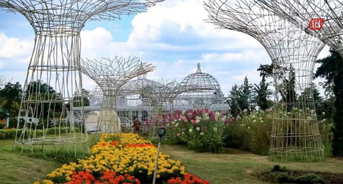 Taman Bunga Celosia Bandungan, Kabupaten Semarang (Sumber: Instagram @taman_bunga.celosia)