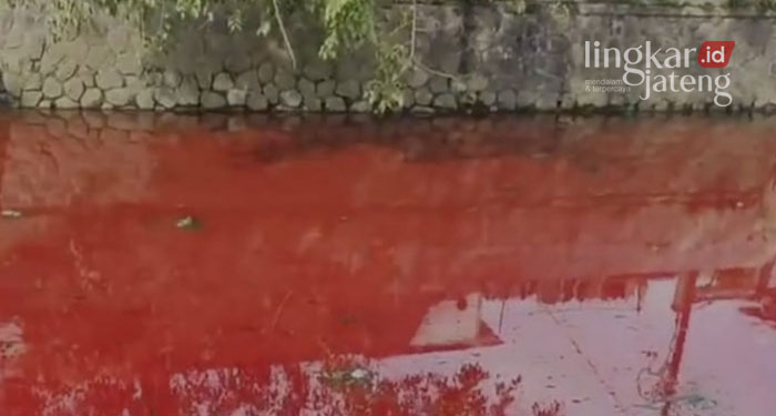 Air Sungai di Semarang Berwarna Merah, Ini Kata Aktivis Lingkungan 25 TERCEMAR: Aliran sungai berwarna merah darah di Semarang dekat jembatan Pekojan yang sempat menghebohkan warga. (Istimewa/Lingkarjateng.id)