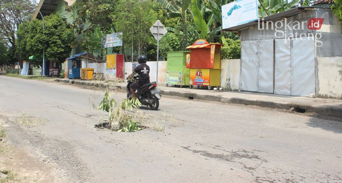 Jalan Stadion Kridosono Rusak, Warga Blora Harap Segera Diperbaiki 25 RUSAK: Beberapa titik jalan rusak dan berlubang di kawasan kompleks Stadion Kridosono, Jalan Bhayangkara, Kecamatan Blora Kota. (Lilik Yuliantoro/Lingkarjateng.id)