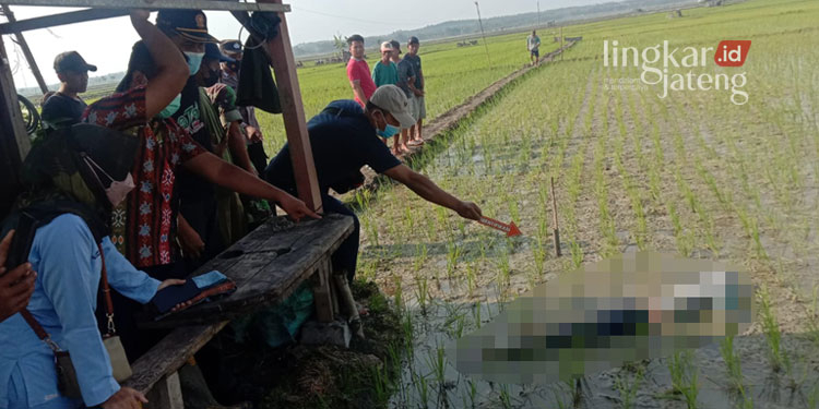 Naas, Petani di Blora Meninggal Kesetrum Jebakan Tikus 25 MENUNJUKKAN: Korban jebakan tikus diidentifikasi oleh tim gabungan, Kecamatan Kedungtuban, Kabupaten Blora. (Istimewa/Lingkarjateng.id)