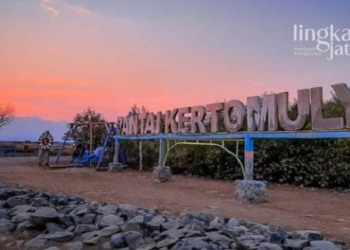 Wisata Pati, Pesona Mangrove Pantai Kertomulyo Trangkil