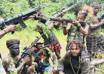 Nyawa Tenaga Medis Asal Pati Melayang Akibat Aksi KKB Papua